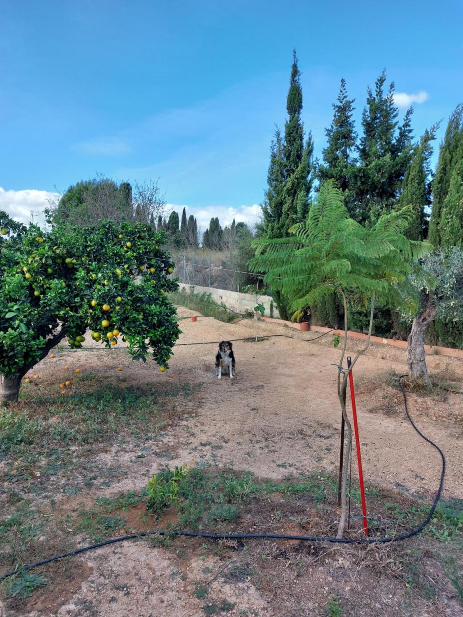 Les Berreries Villa Montroy Buitenkant foto